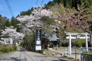 丸山公園