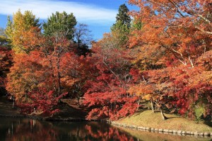 用作（ゆうじゃく）公園　