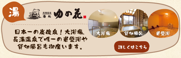 「ゆの花」日本一の炭酸泉！大浴場や露天風呂、貸切風呂（家族風呂）長湯温泉で唯一の岩盤浴も御座います。
